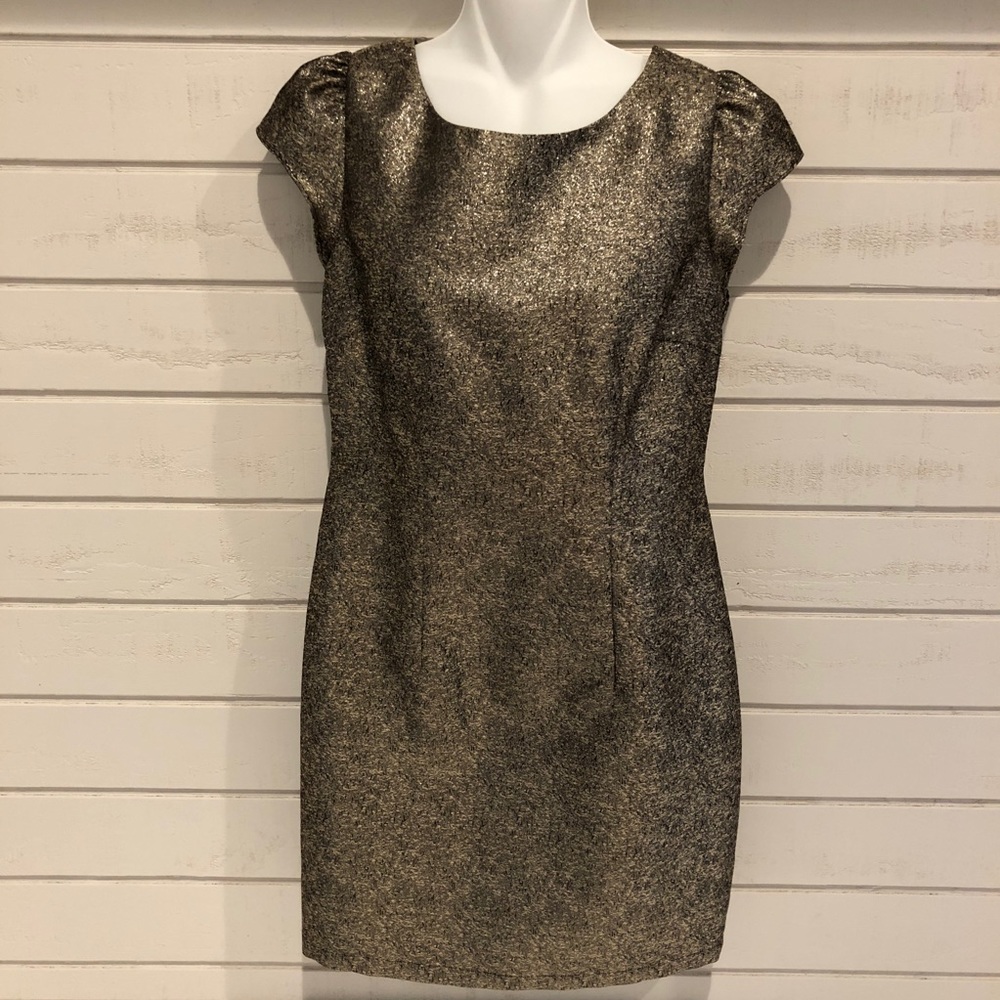 NWOT Ladakh Gold fitted dress size 4